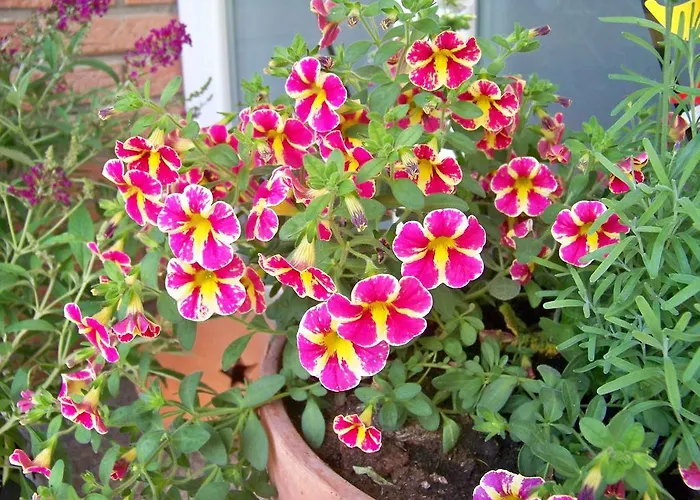 Gæstehus Wendler Bedburg